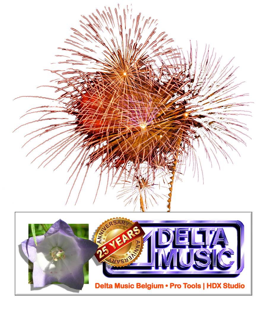 graphic Delta Music Belgium 25 years