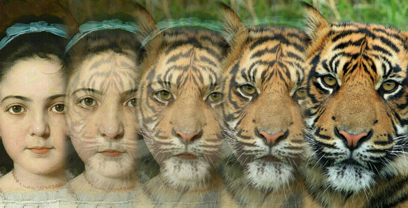 photo digital morphing