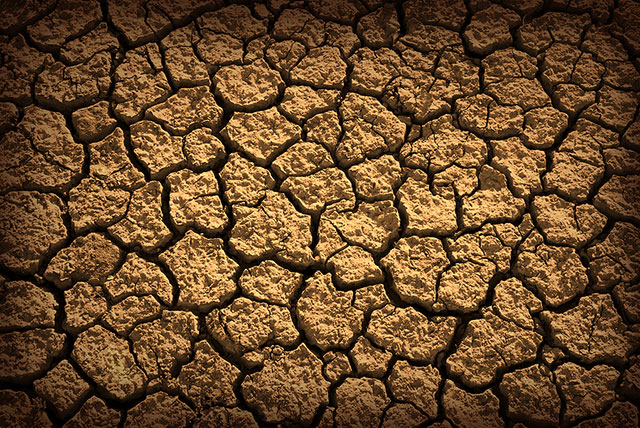 Photo dry desert