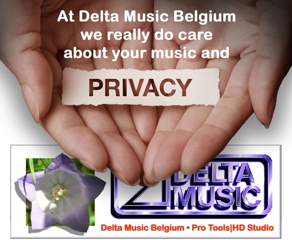 Logo Privacy at Delta Music Belgium